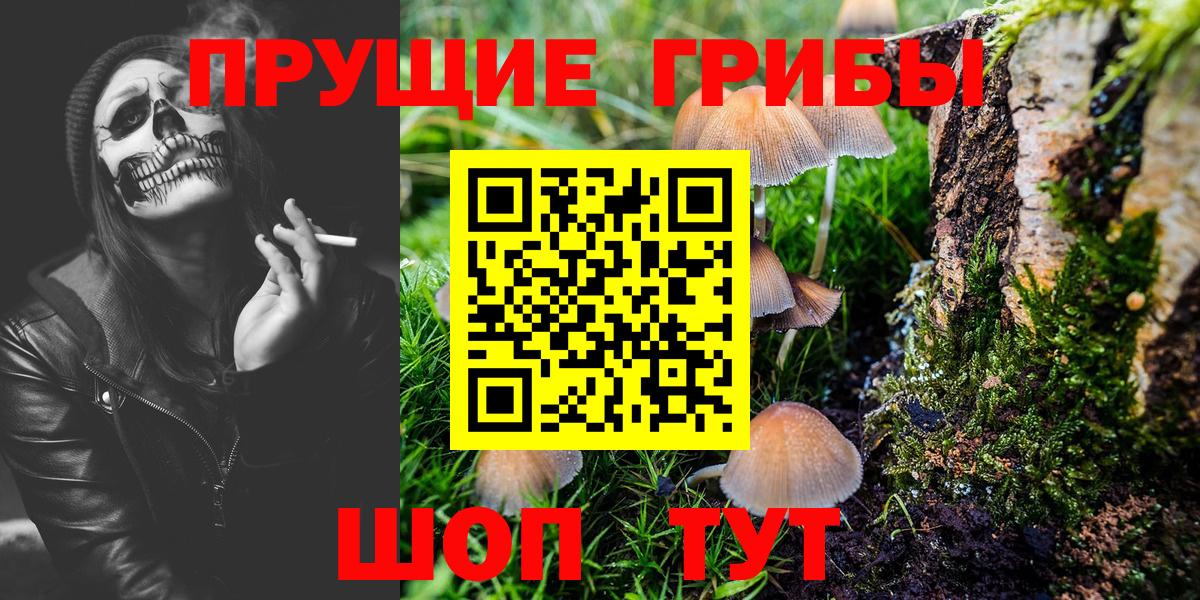 Галлюциногенные грибы мухоморы Сердобск