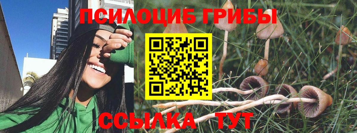 Сердобск  Галлюциногенные грибы GOLDEN TEACHER  Псилоцибиновые грибы Psilocybine cubensis  Вход с VPN 